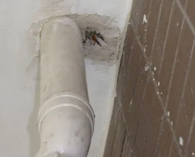 文安漏水检测哪家好